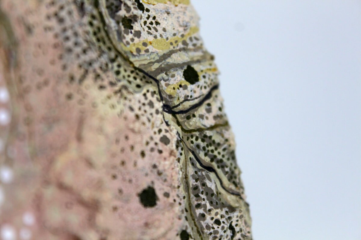Microcosm _ Painting Closeup 2
