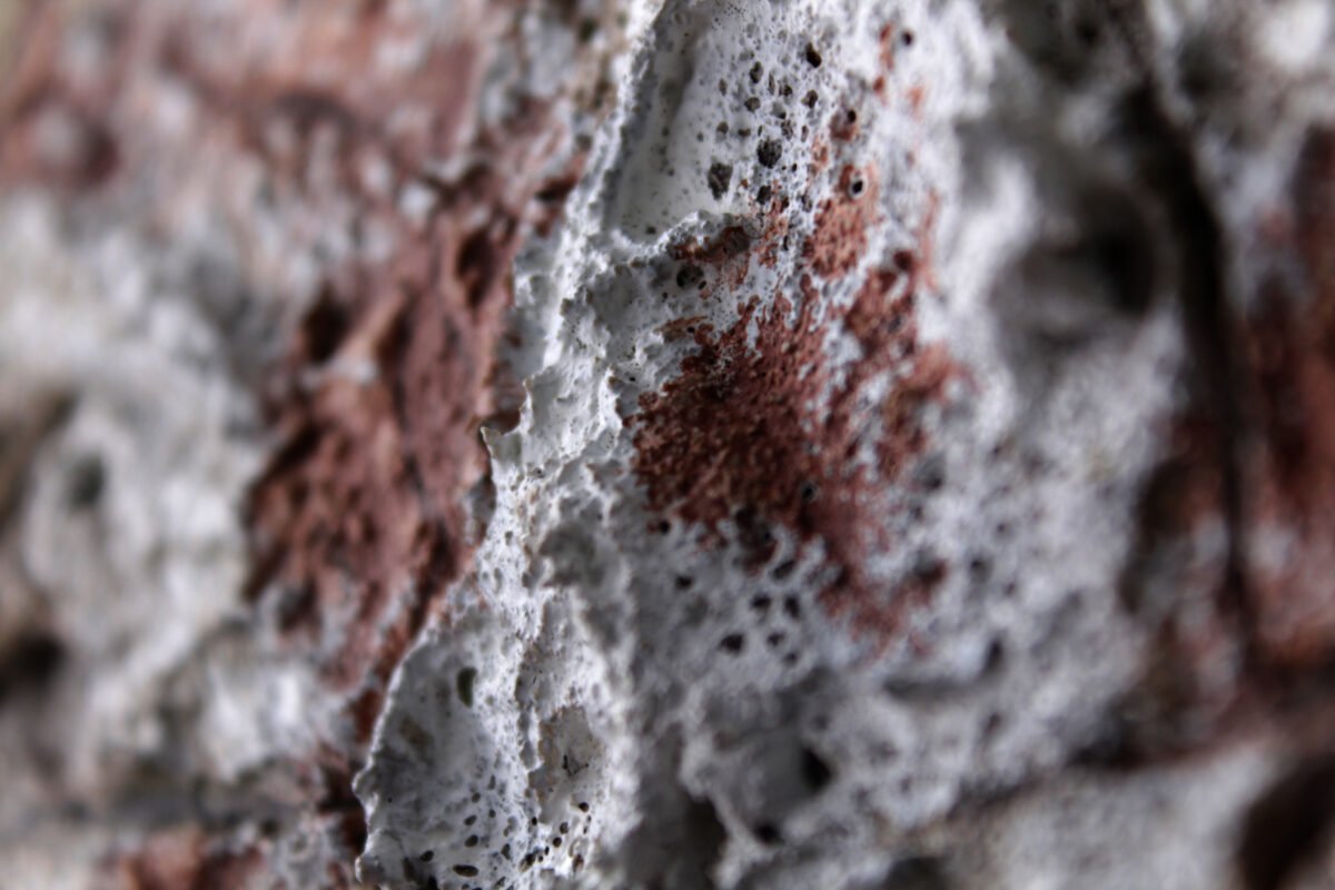 Microcosm - Image 6