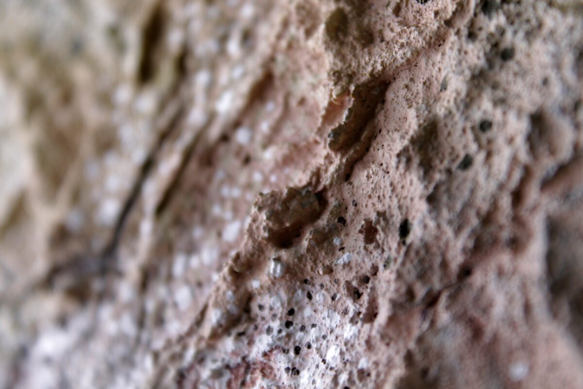 Microcosm - Image 7