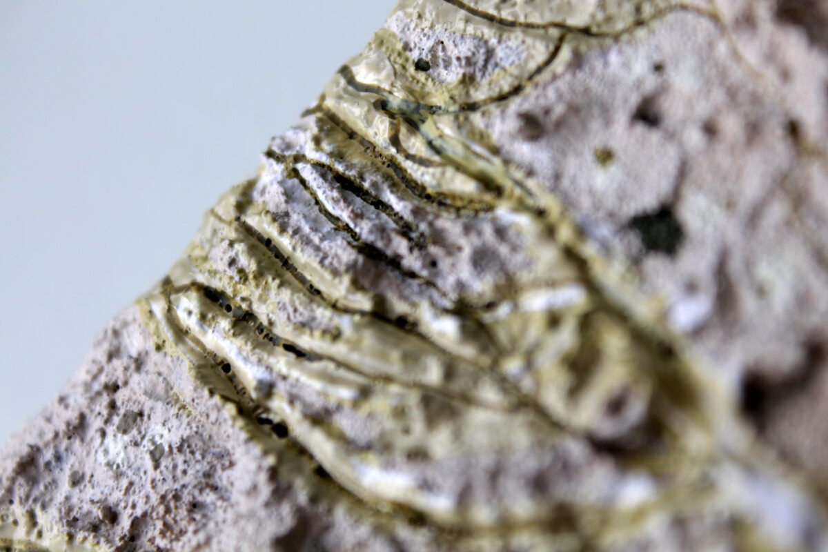 Microcosm _ Painting Closeup 7